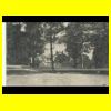 _Scan10098.JPG