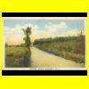 _Scan10202.JPG