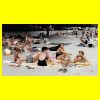 requa11.gif